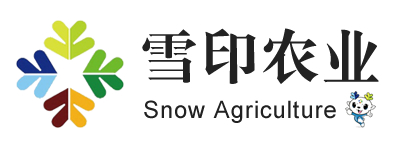 蘇州硅時(shí)代_微納加工|MEMS加工|MEMS代工|器件封裝|MEMS一站式解決專(zhuān)家